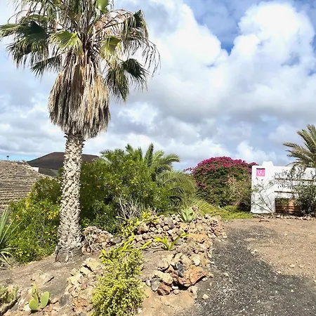 别墅 Scenic Views, Heated Pool, Vineyard - Casa Mavi La Vegueta